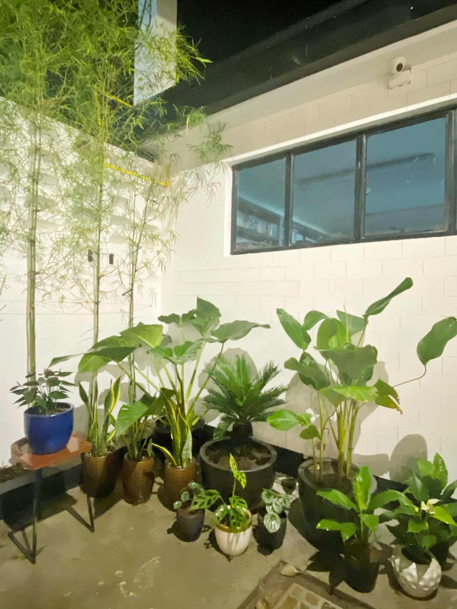 Pasig Project